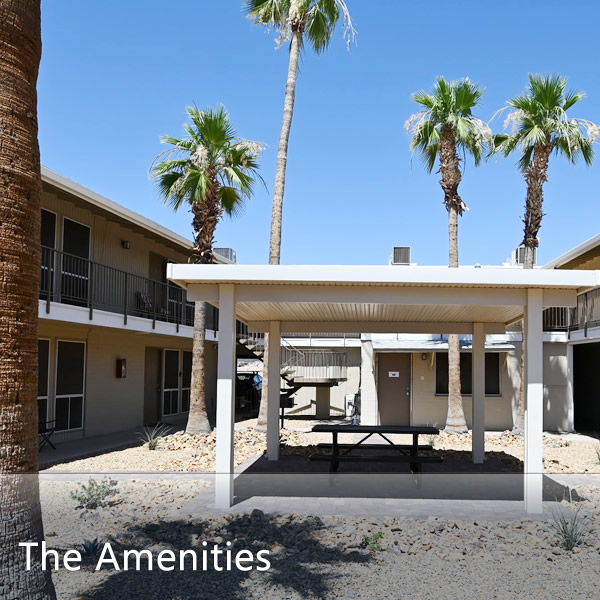 Features and Amenities